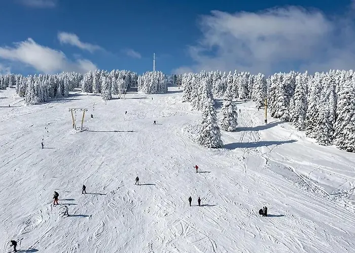 Erta Soyak Uludag Hotel